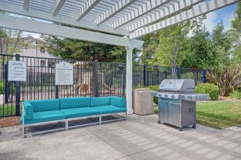 Outdoor barbecue gas grills